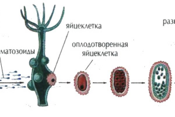 Кракен даркнет зеркало