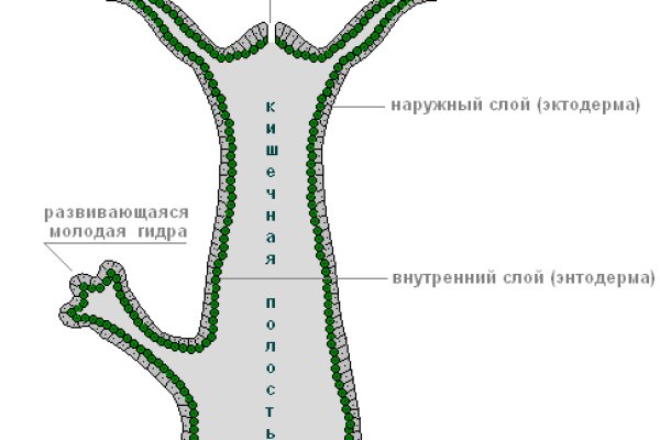 Кракен даркнет слушать