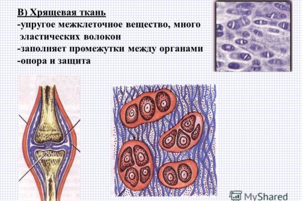 Ошибка на сервере кракен